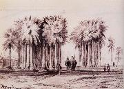 Lear, Edward Fan Palms at Arrah,Shahabad District,Bihar oil on canvas